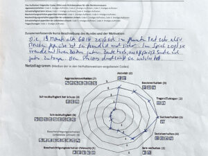 Wesenstest Tess